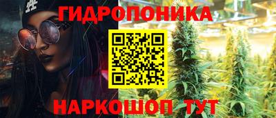 ECSTASY Будённовск